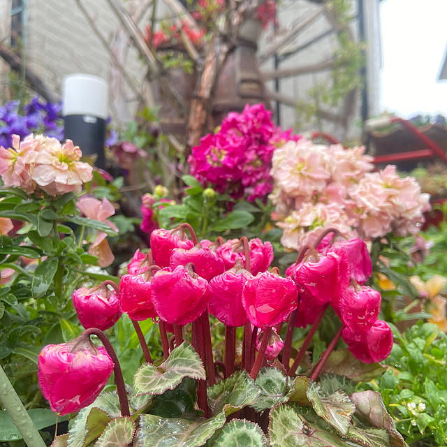 na-chanさんの部屋