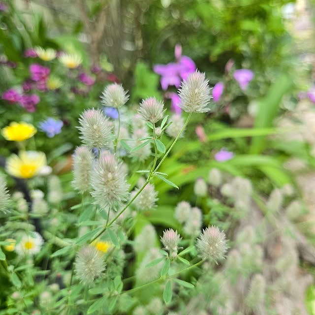 min_nimさんの実例写真