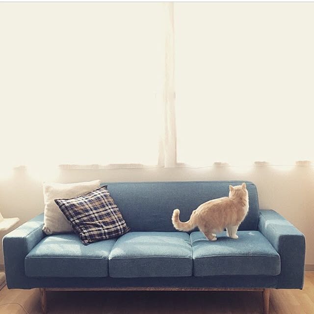 MCIUKIさんの実例写真