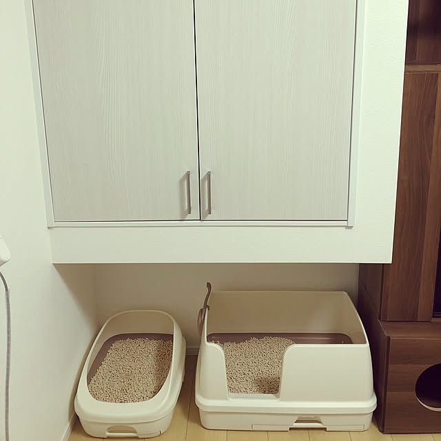 Tomcatさんの実例写真