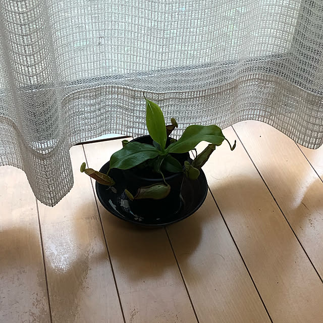 multipleさんの実例写真