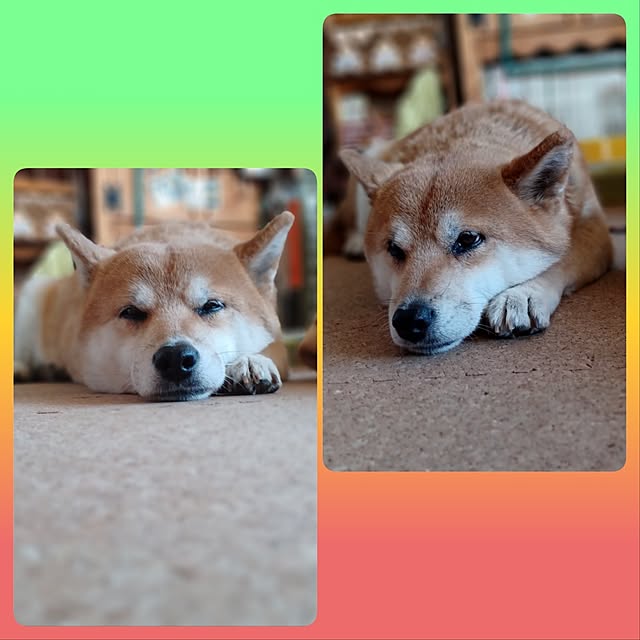 nanaさんの部屋