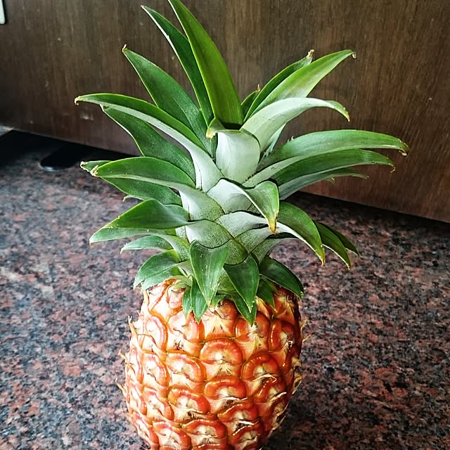 kotorinさんの実例写真