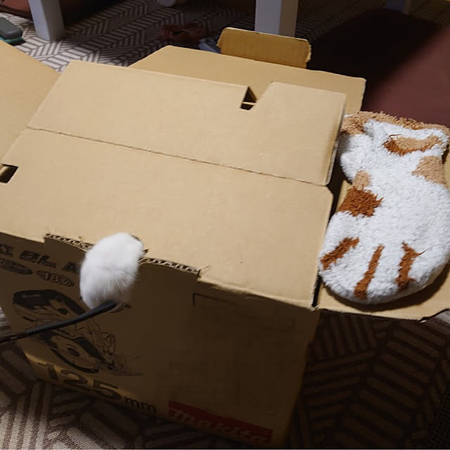 fukuさんの実例写真