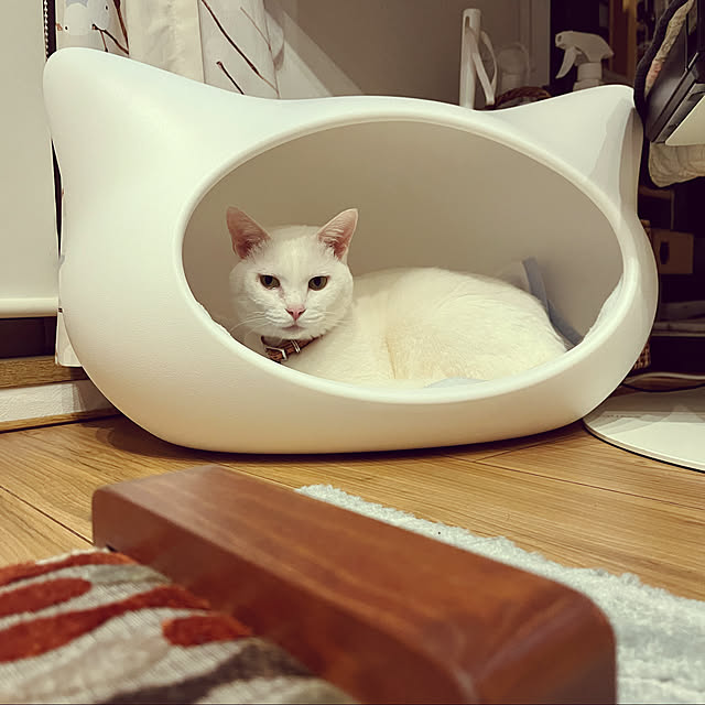 hanaさんの実例写真