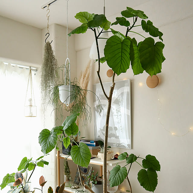 Hisayoさんの部屋