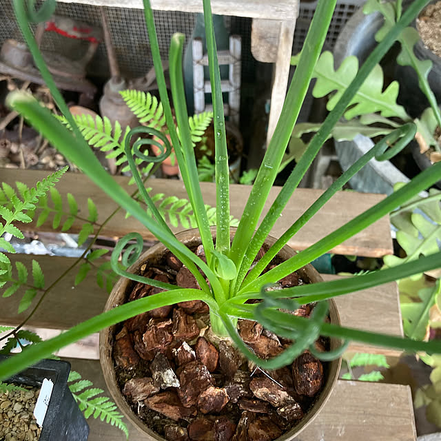 izumiさんの部屋