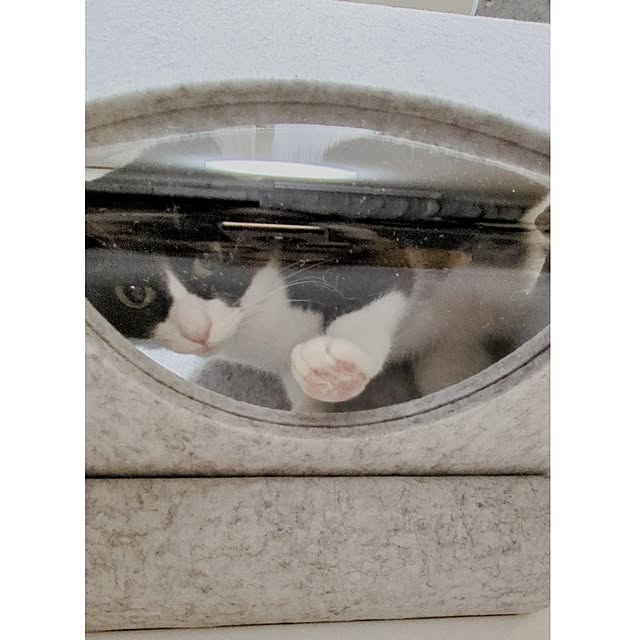 hihaさんの実例写真