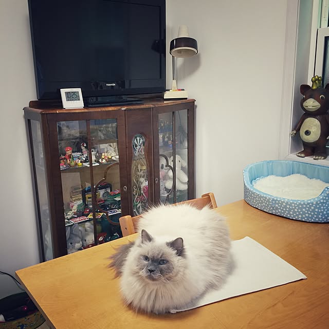 yuchiさんの実例写真