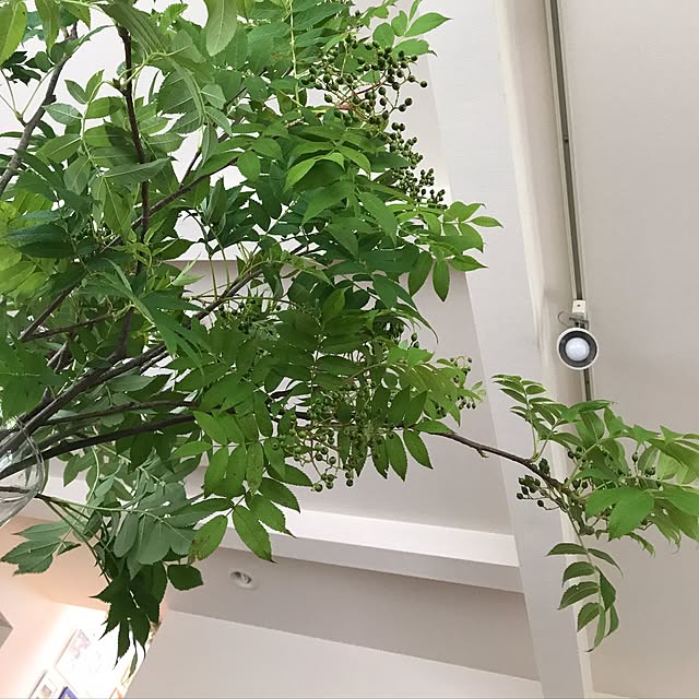 Emiさんの実例写真