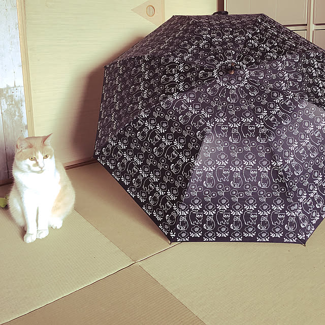 naworinさんの実例写真