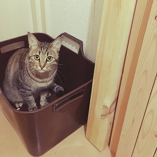Yukiさんの実例写真