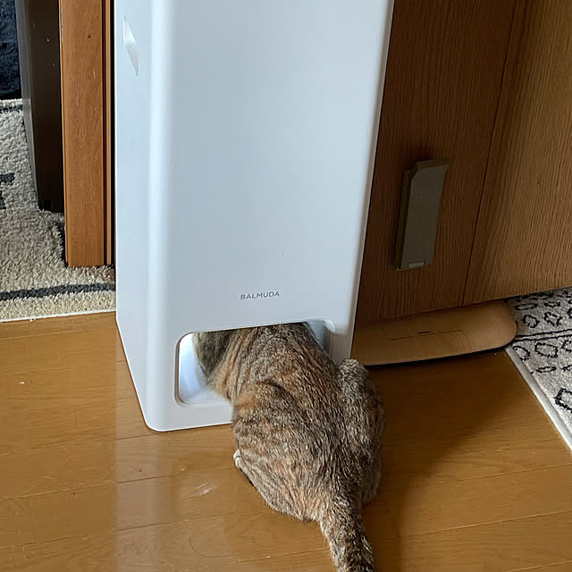 yukiyoさんの実例写真