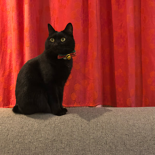 mutsuさんの実例写真