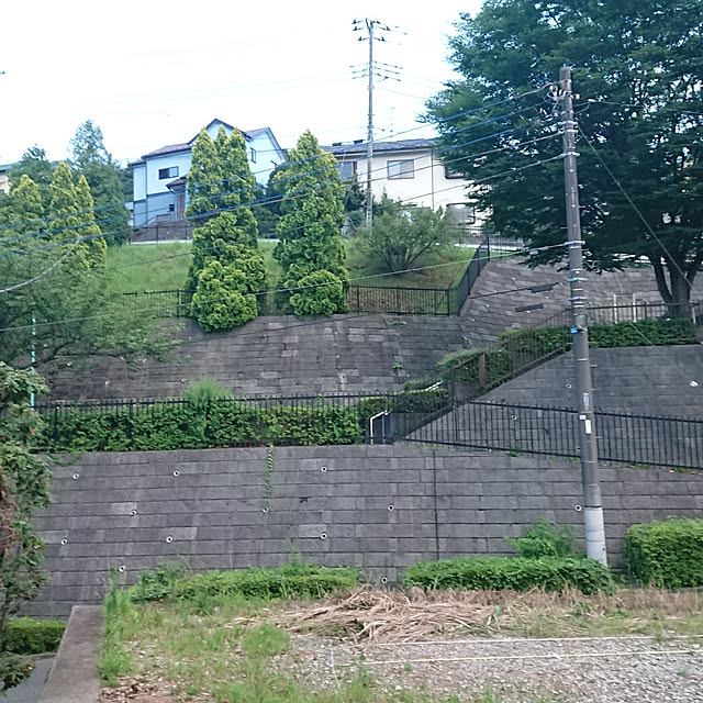Danさんの実例写真