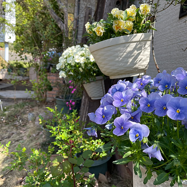 natsumiさんの部屋