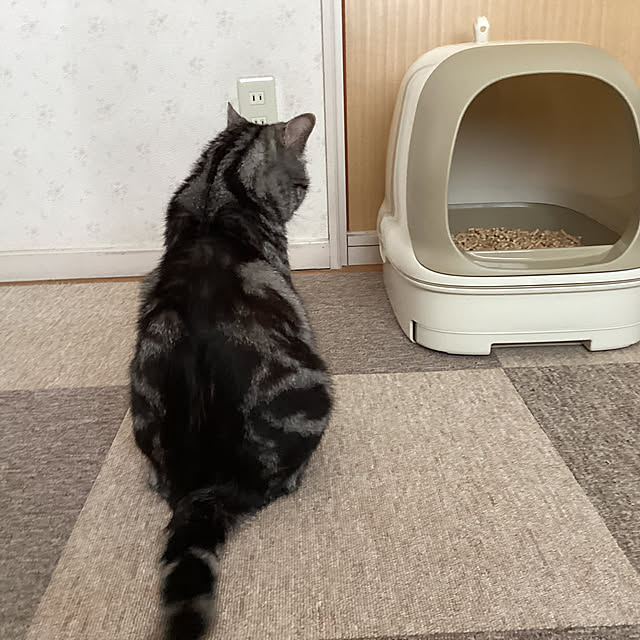 richanさんの実例写真