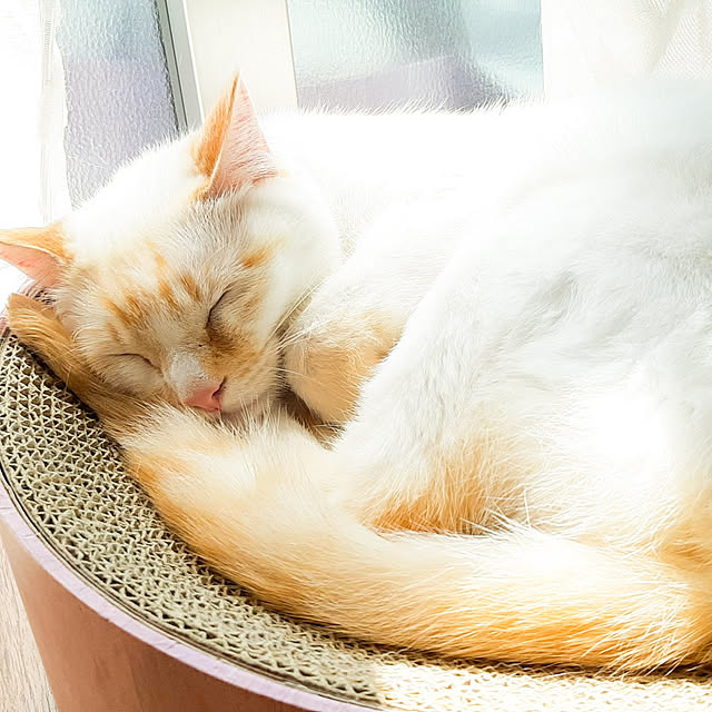 maru_hiro709さんの実例写真