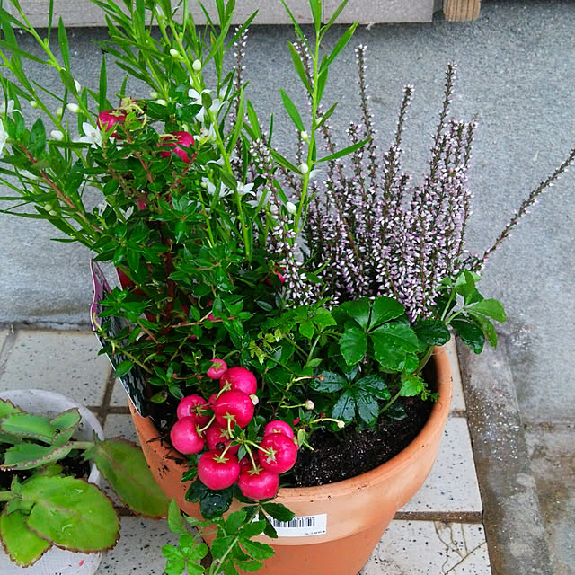 REI.DIYさんの実例写真