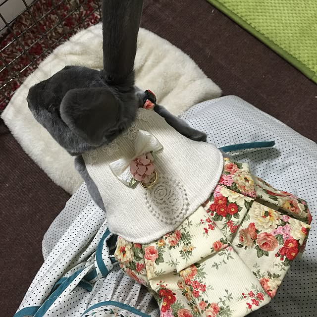 T.hinaさんの実例写真