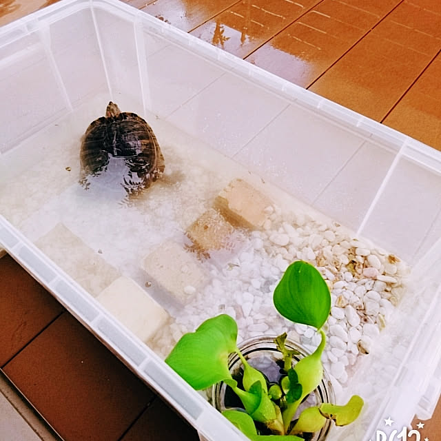 mikoさんの実例写真