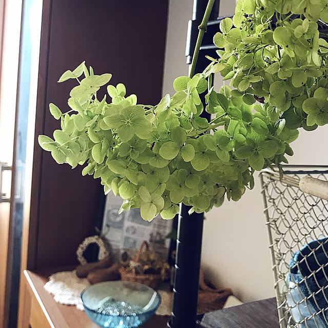 canmilmamaさんの実例写真
