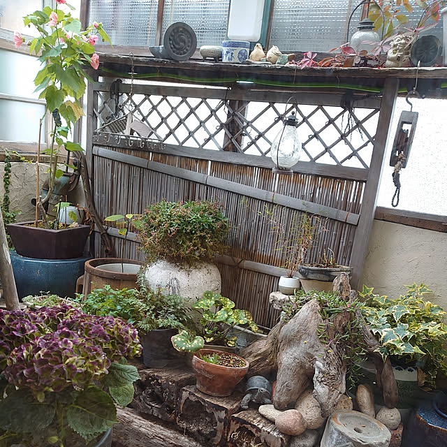 akaidarumaさんの実例写真