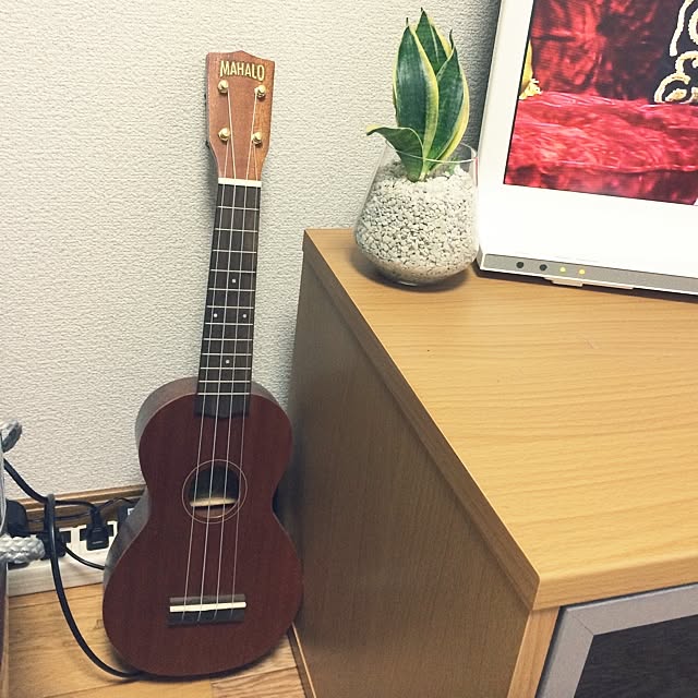 TURUBE53さんの実例写真