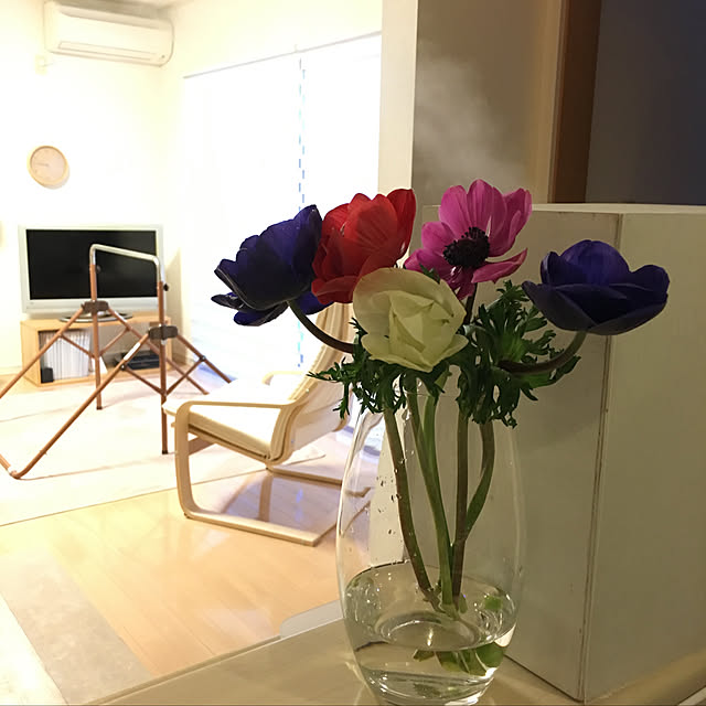 hiromimiさんの実例写真
