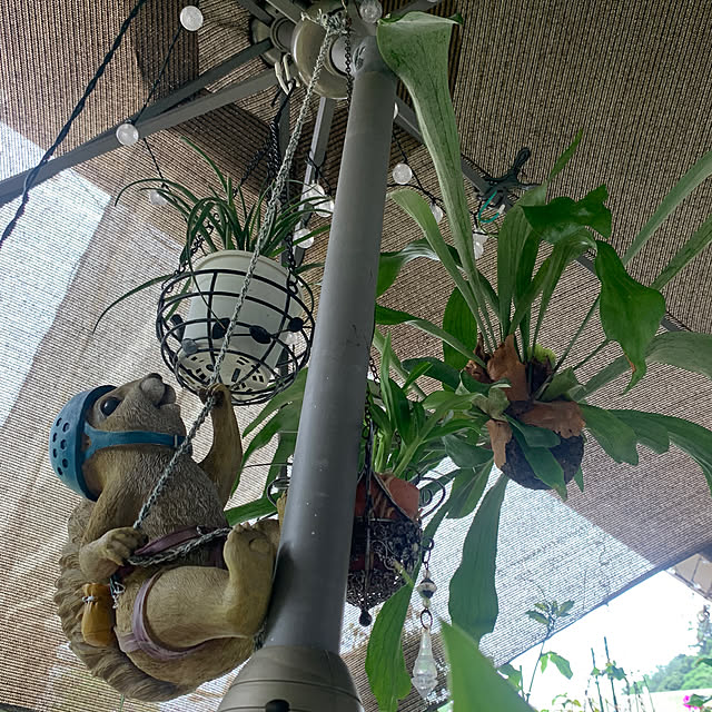 Aqettyさんの実例写真