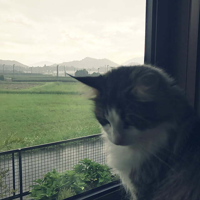 a-house2019さんの実例写真