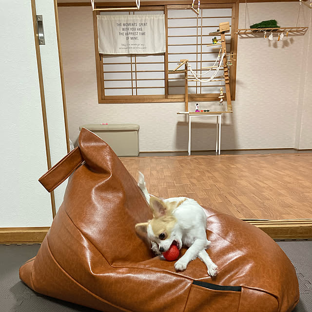 toratanさんの実例写真