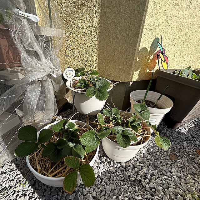 enotasoさんの部屋
