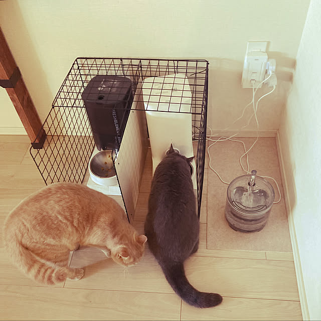 m.chanさんの実例写真