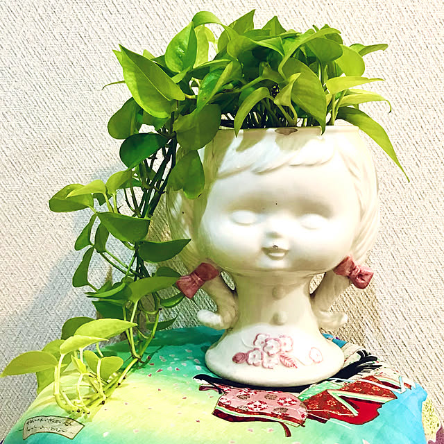 fuyiqian1026さんの実例写真