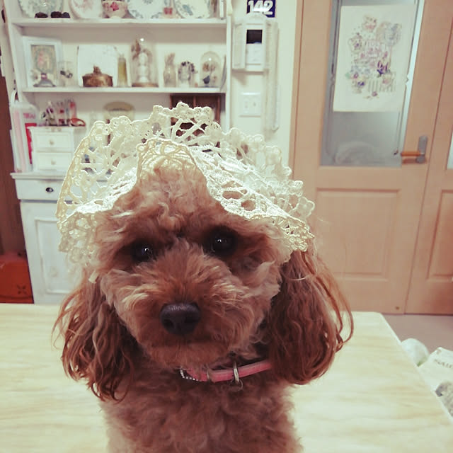 satochiさんの実例写真