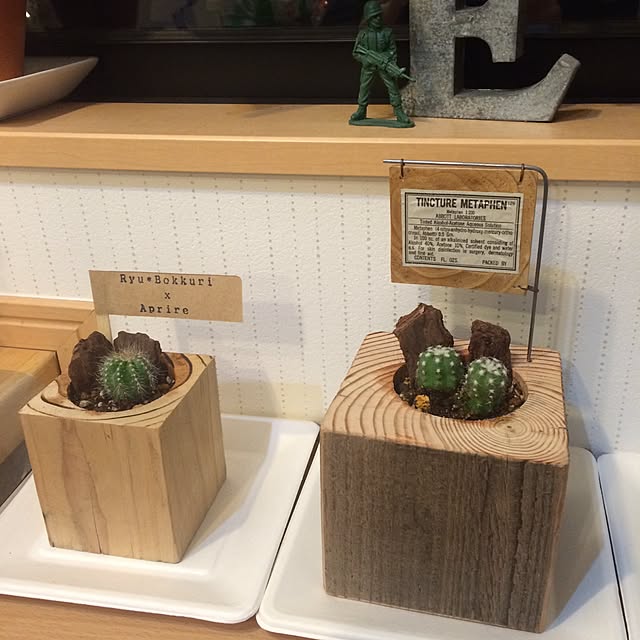 RYUBOKKURIさんの実例写真