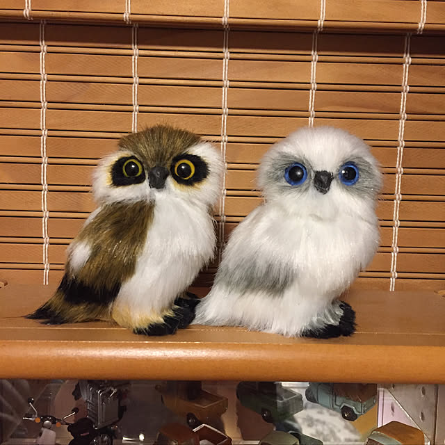 yocchiさんの実例写真