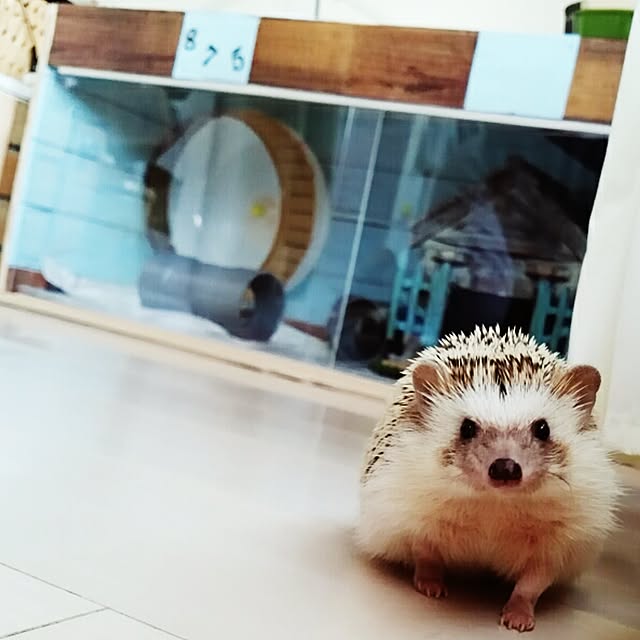 kuruさんの実例写真