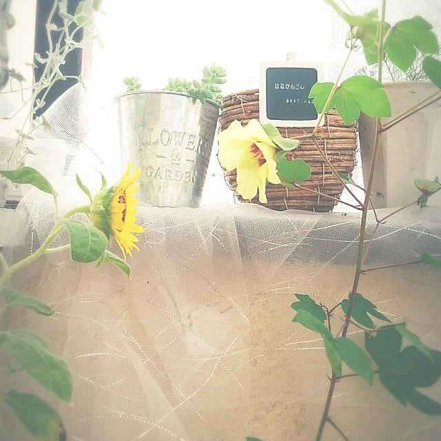 miho.okuさんの実例写真