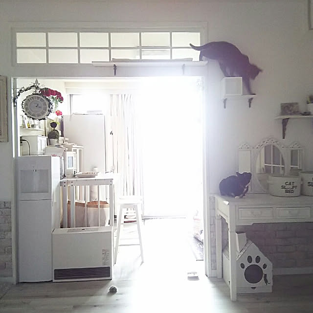 nicopenponさんの実例写真