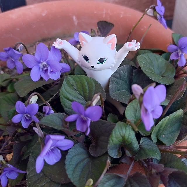 NOAHさんの実例写真