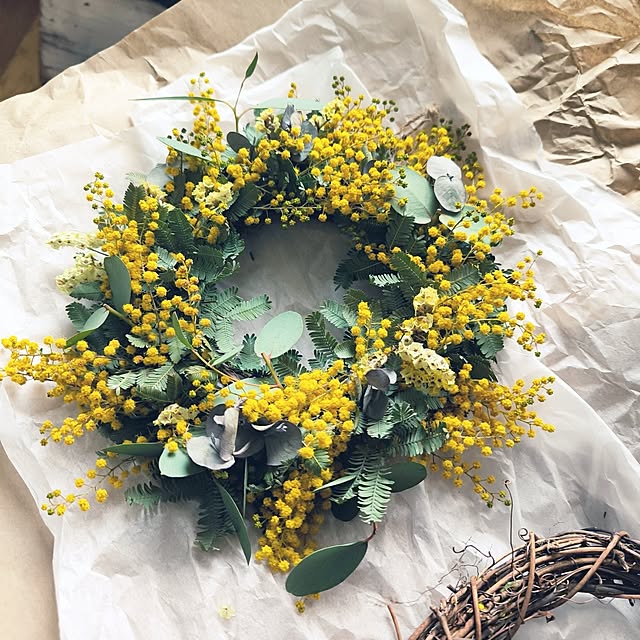 koyutan-mjmさんの部屋