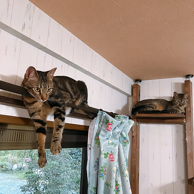 pepeさんの実例写真