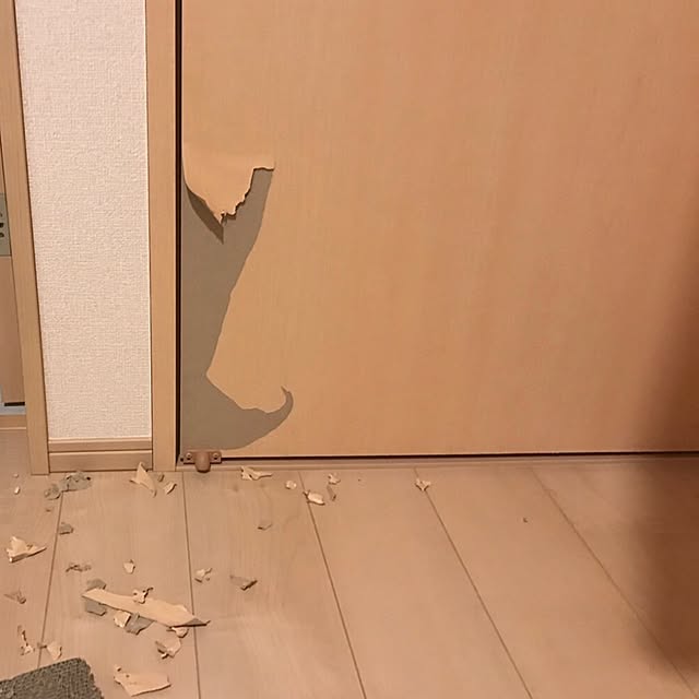 amandaさんの実例写真