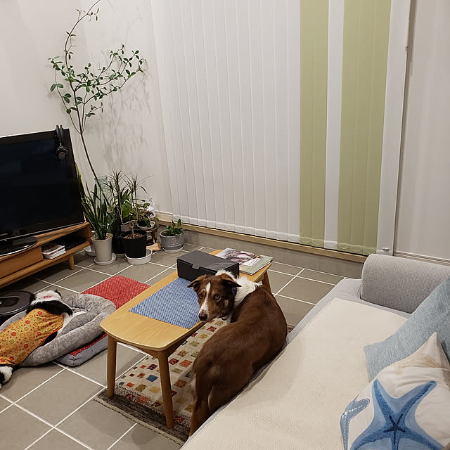 Hizuruさんの実例写真