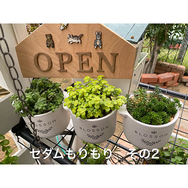 momocchiさんの実例写真