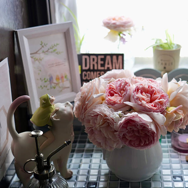 haruisabelさんの部屋