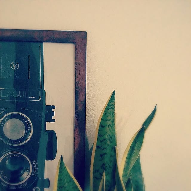 hidetoさんの実例写真