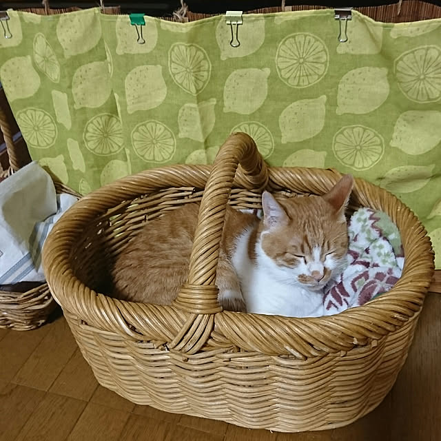 SHIHOさんの実例写真